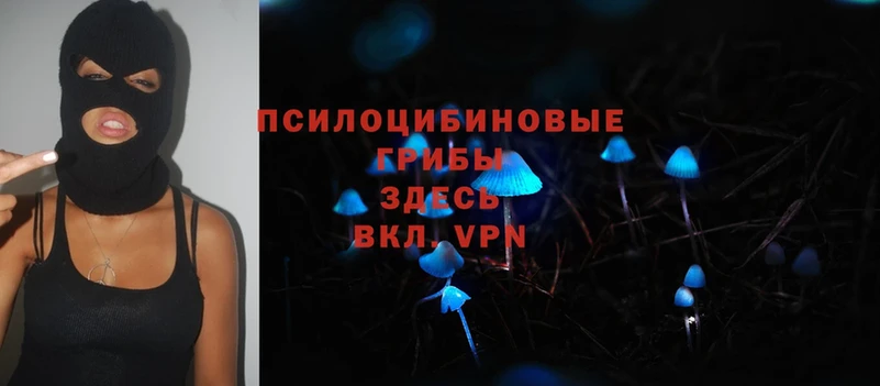 Псилоцибиновые грибы Magic Shrooms  Ахтубинск 